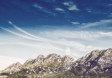 注册码商城的云呼网页版在线轰炸机